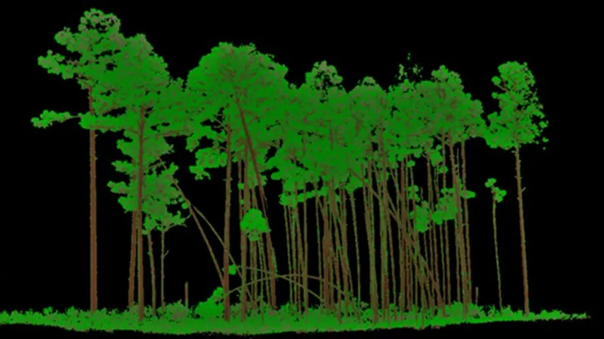 Forest research landscape