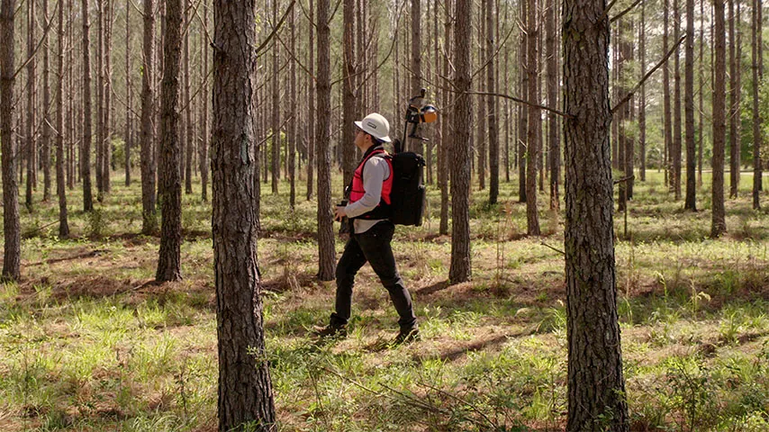 Preparing a drone for forest research